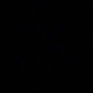 Meet your Posher, Javon